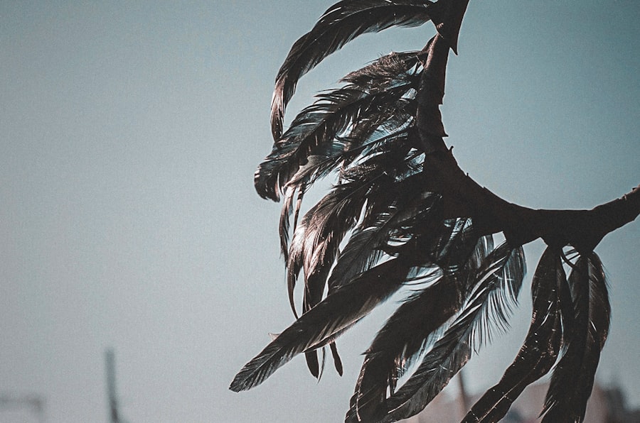 dream interpretation