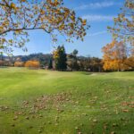 Photo micro-communities