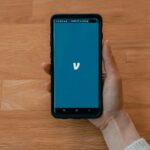 Photo voice search impact
