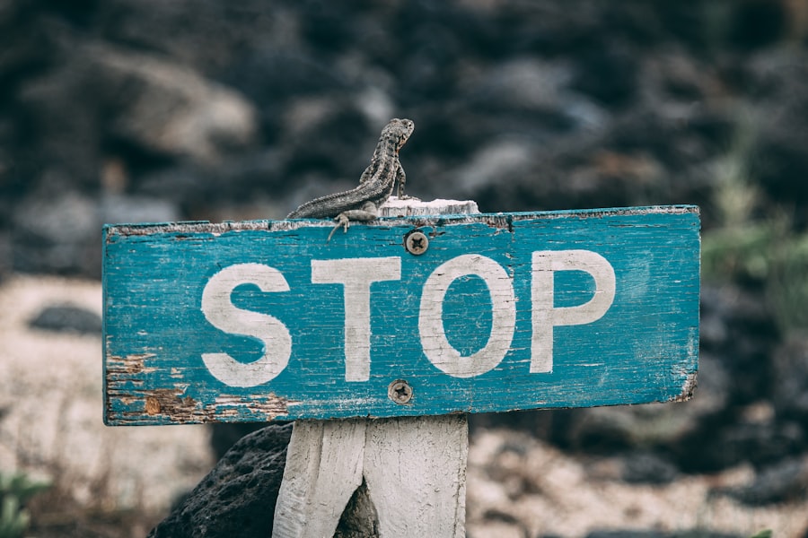 Photo power of stopping without guilt